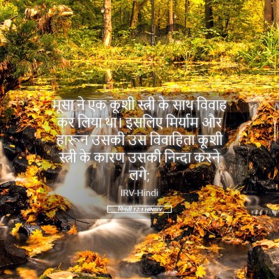 Picture 05 - गिनती 12:1 HINIRV - मूसा ने एक कूशी - Bible Verse Picture
