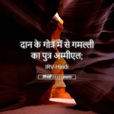 Picture 05 - गिनती 13:12 HINIRV - दान के गोत्र में से - Bible Verse Picture