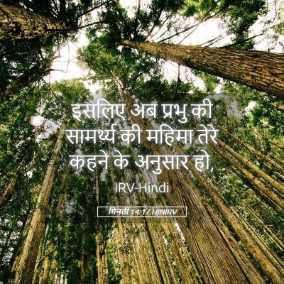 Picture 05 - गिनती 14:17 HINIRV - इसलिए अब प्रभु की - Bible Verse Picture