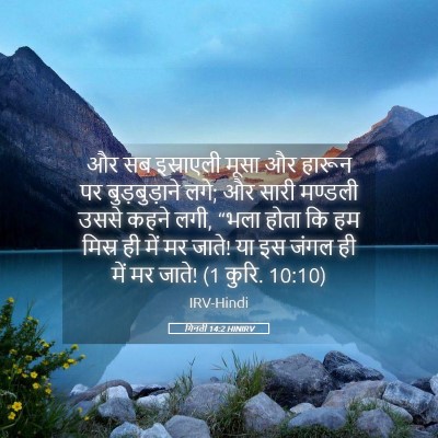 Picture 05 - गिनती 14:2 HINIRV - और सब इस्राएली - Bible Verse Picture