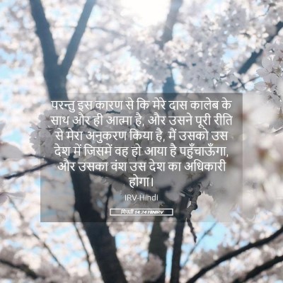 Picture 05 - गिनती 14:24 HINIRV - परन्तु इस कारण से - Bible Verse Picture