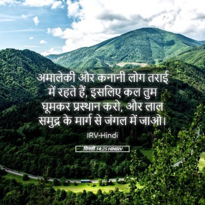 Picture 05 - गिनती 14:25 HINIRV - अमालेकी और कनानी - Bible Verse Picture