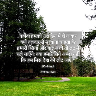 Picture 05 - गिनती 14:3 HINIRV - यहोवा हमको उस देश - Bible Verse Picture