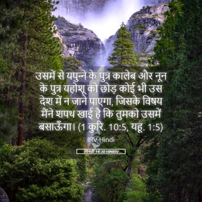Picture 05 - गिनती 14:30 HINIRV - उसमें से यपुन्‍ने - Bible Verse Picture