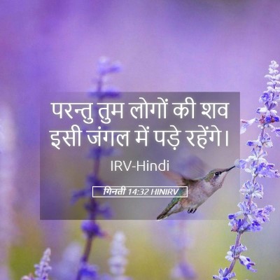 Picture 05 - गिनती 14:32 HINIRV - परन्तु तुम लोगों - Bible Verse Picture