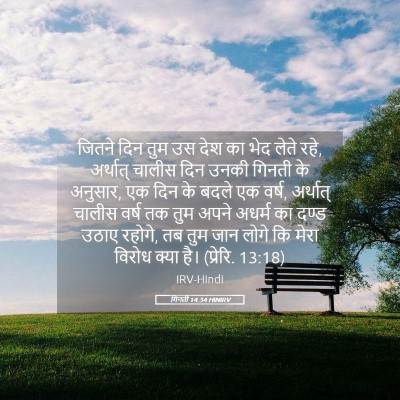 Picture 05 - गिनती 14:34 HINIRV - जितने दिन तुम उस - Bible Verse Picture