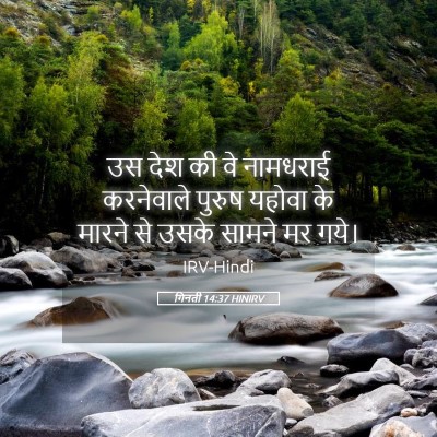 Picture 05 - गिनती 14:37 HINIRV - उस देश की वे - Bible Verse Picture