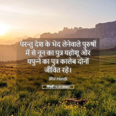 Picture 05 - गिनती 14:38 HINIRV - परन्तु देश के भेद - Bible Verse Picture