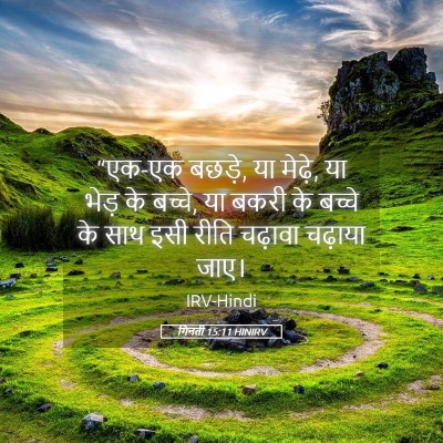 Picture 05 - गिनती 15:11 HINIRV - “एक-एक बछड़े, या - Bible Verse Picture