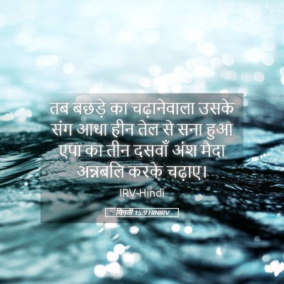 Picture 05 - गिनती 15:9 HINIRV - तब बछड़े का - Bible Verse Picture