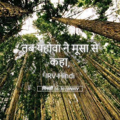 Picture 05 - गिनती 16:36 HINIRV - तब यहोवा ने मूसा से - Bible Verse Picture