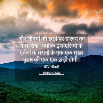 Picture 05 - गिनती 17:3 HINIRV - और लेवियों की छड़ी - Bible Verse Picture