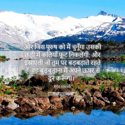 Picture 05 - गिनती 17:5 HINIRV - और जिस पुरुष को मैं - Bible Verse Picture