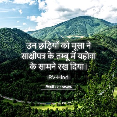Picture 05 - गिनती 17:7 HINIRV - उन छड़ियों को मूसा - Bible Verse Picture