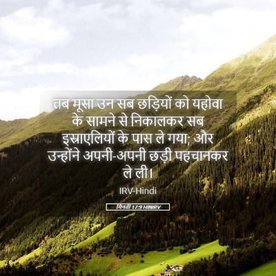 Picture 05 - गिनती 17:9 HINIRV - तब मूसा उन सब - Bible Verse Picture