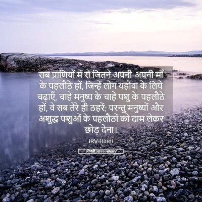 Picture 05 - गिनती 18:15 HINIRV - सब प्राणियों में - Bible Verse Picture