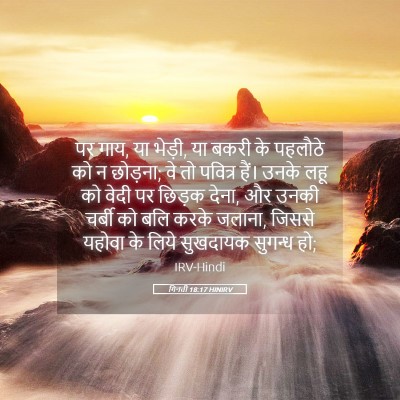 Picture 05 - गिनती 18:17 HINIRV - पर गाय, या भेड़ी, या - Bible Verse Picture