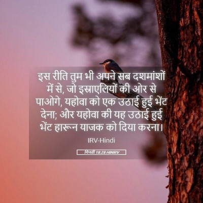Picture 05 - गिनती 18:28 HINIRV - इस रीति तुम भी अपने - Bible Verse Picture