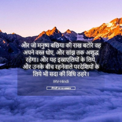 Picture 05 - गिनती 19:10 HINIRV - और जो मनुष्य बछिया - Bible Verse Picture