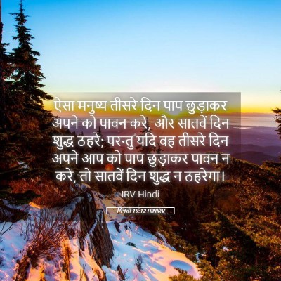 Picture 05 - गिनती 19:12 HINIRV - ऐसा मनुष्य तीसरे - Bible Verse Picture