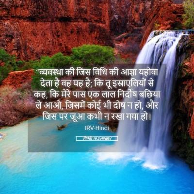 Picture 05 - गिनती 19:2 HINIRV - “व्यवस्था की जिस - Bible Verse Picture