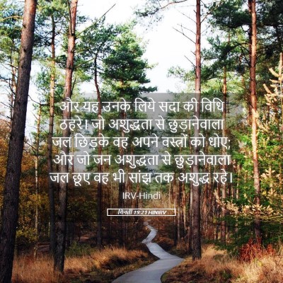 Picture 05 - गिनती 19:21 HINIRV - और यह उनके लिये सदा - Bible Verse Picture