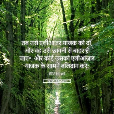 Picture 05 - गिनती 19:3 HINIRV - तब उसे एलीआजर याजक - Bible Verse Picture