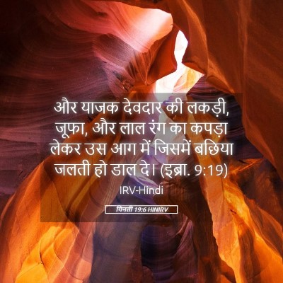 Picture 05 - गिनती 19:6 HINIRV - और याजक देवदार की - Bible Verse Picture
