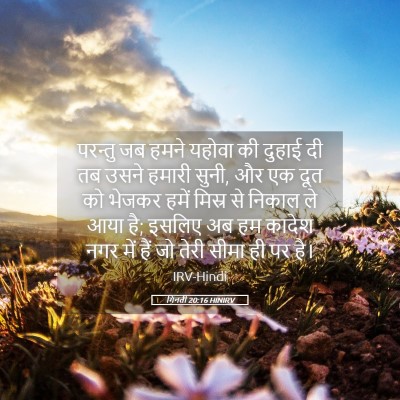 Picture 05 - गिनती 20:16 HINIRV - परन्तु जब हमने - Bible Verse Picture