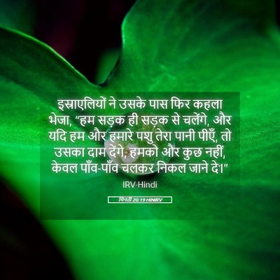 Picture 05 - गिनती 20:19 HINIRV - इस्राएलियों ने - Bible Verse Picture