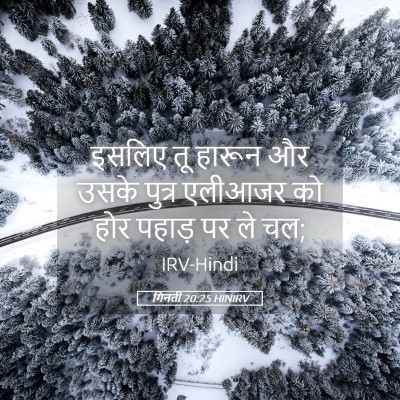 Picture 05 - गिनती 20:25 HINIRV - इसलिए तू हारून और - Bible Verse Picture
