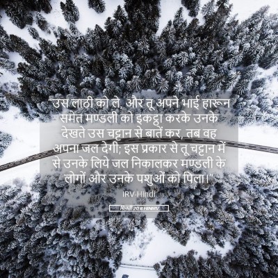 Picture 05 - गिनती 20:8 HINIRV - “उस लाठी को ले, और - Bible Verse Picture