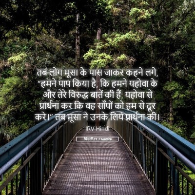 Picture 05 - गिनती 21:7 HINIRV - तब लोग मूसा के पास - Bible Verse Picture