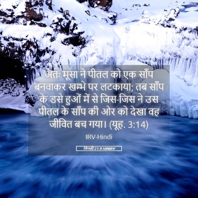 Picture 05 - गिनती 21:9 HINIRV - अतः मूसा ने पीतल को - Bible Verse Picture