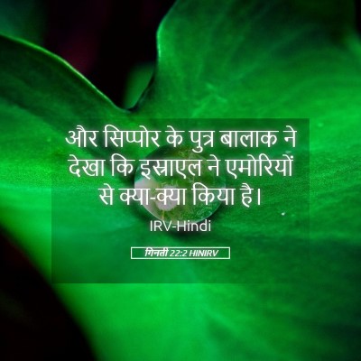 Picture 05 - गिनती 22:2 HINIRV - और सिप्पोर के - Bible Verse Picture