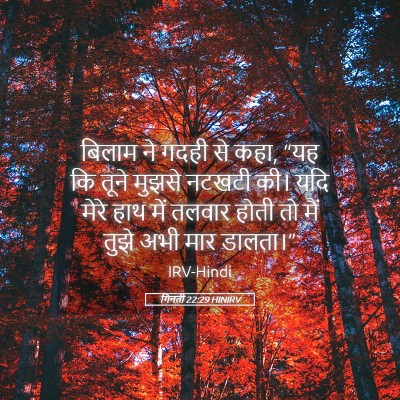 Picture 05 - गिनती 22:29 HINIRV - बिलाम ने गदही से - Bible Verse Picture