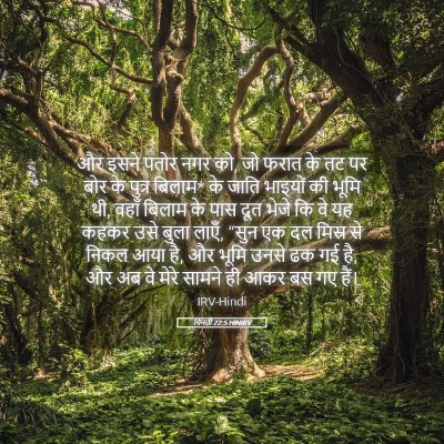 Picture 05 - गिनती 22:5 HINIRV - और इसने पतोर नगर - Bible Verse Picture