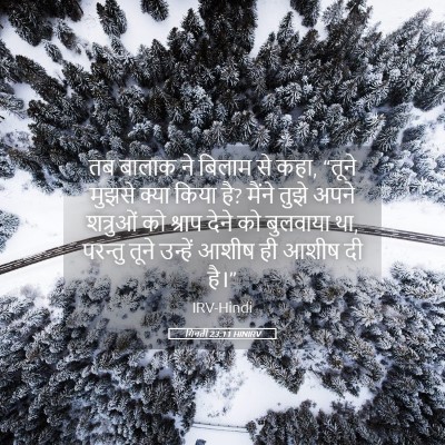 Picture 05 - गिनती 23:11 HINIRV - तब बालाक ने बिलाम - Bible Verse Picture