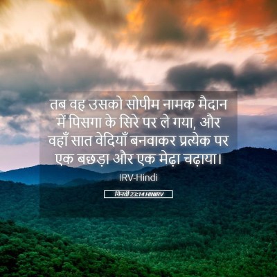 Picture 05 - गिनती 23:14 HINIRV - तब वह उसको सोपीम - Bible Verse Picture