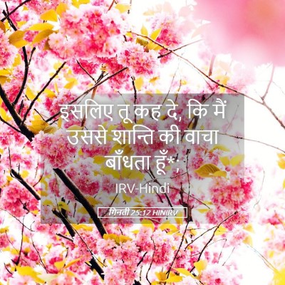 Picture 05 - गिनती 25:12 HINIRV - इसलिए तू कह दे, कि - Bible Verse Picture