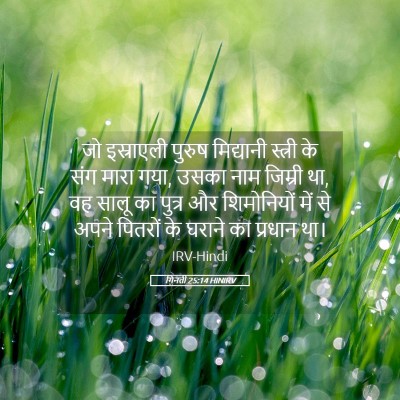 Picture 05 - गिनती 25:14 HINIRV - जो इस्राएली पुरुष - Bible Verse Picture