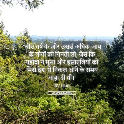 Picture 05 - गिनती 26:4 HINIRV - “बीस वर्ष के और - Bible Verse Picture