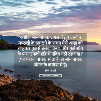 Picture 05 - गिनती 27:14 HINIRV - क्योंकि सीन नामक - Bible Verse Picture