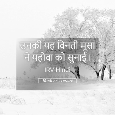 Picture 05 - गिनती 27:5 HINIRV - उनकी यह विनती मूसा - Bible Verse Picture