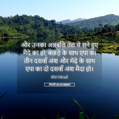 Picture 05 - गिनती 28:20 HINIRV - और उनका अन्नबलि - Bible Verse Picture