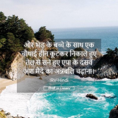 Picture 05 - गिनती 28:5 HINIRV - और भेड़ के बच्चे के - Bible Verse Picture