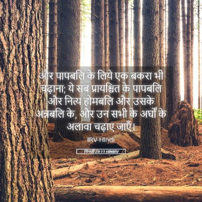 Picture 05 - गिनती 29:11 HINIRV - और पापबलि के लिये - Bible Verse Picture