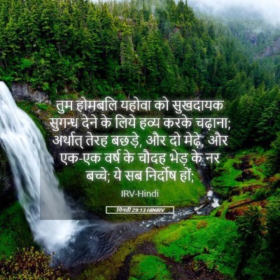 Picture 05 - गिनती 29:13 HINIRV - तुम होमबलि यहोवा - Bible Verse Picture