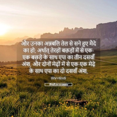 Picture 05 - गिनती 29:14 HINIRV - और उनका अन्नबलि - Bible Verse Picture