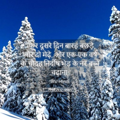 Picture 05 - गिनती 29:17 HINIRV - “फिर दूसरे दिन - Bible Verse Picture